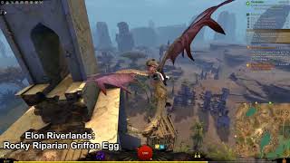 GW2 Open Skies Elon Riverlands Griffon Eggs Guide [upl. by Simmons]