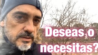 3 de 365 👍 SATISFACER NECESIDADES  Mindfulness by Nacho Luque [upl. by Idnar]