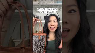 GOYARD MINI ANJOU CONS NO ONE TALKS ABOUT [upl. by Holihs]