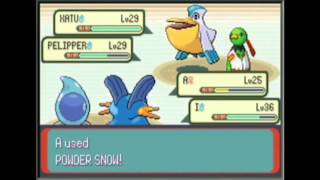 Pokemon Emerald  Any Glitchless Speedrun in 24324 IGT [upl. by Wilton]