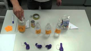 Yeast and Fermentation Experiment [upl. by Leila]