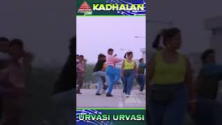 Urvasi Urvasi Video Song  Kadhalan Movie Songs  Prabhu Deva  Vadivelu  ARR  ytshorts [upl. by Anead]