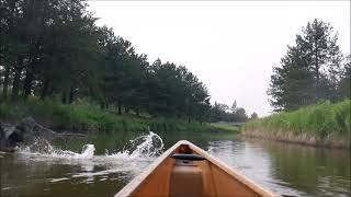 17 km Solo Paddle in the Wenonah Voyageur Solo Canoe Thunder Bay in Northwestern Ontario [upl. by Nuawed]