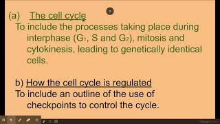 216 Cell division a and b The cell cycle and how it is regulated [upl. by Vernier]