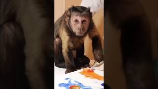 Monkey painting fun monkey painting art fun shorts [upl. by Petr]