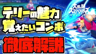 【スマブラSP】初心者にもオススメ！テリー 6つの魅力と使い方、コンボを徹底解説！【初心者向け】 [upl. by Johnston]