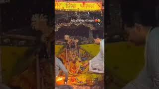 प्यार बांके बिहारी जी प्यारो वृंदावन जय जय श्यामा जय जय श्याम जय जय श्री वृंदावन धाम🙏 [upl. by Amalburga376]