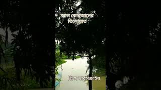 প্রেমে পড়লে বোকা বুদ্ধিমান হয়ে ওঠে বুদ্ধিমান বোকা হয়ে যায়।– স্পুট হাসসুনlove [upl. by Arretnahs890]