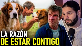 El PROPÓSITO de los PERROS en nuestra VIDA  La Razón de Estar Contigo  Relato y Reflexiones [upl. by Etheline756]