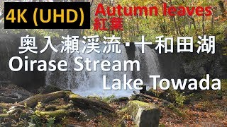 【4K】十和田八幡平国立公園 紅葉 TowadaHachimantai National Park [upl. by Machos]