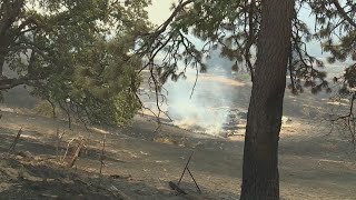 FEMA approves federal funding for Larch Creek Fire as wildfire continues to grow [upl. by Nnaegroeg]