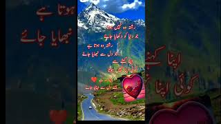 urdu shayari black screen statusurdu shayari black screen status [upl. by Celinda209]