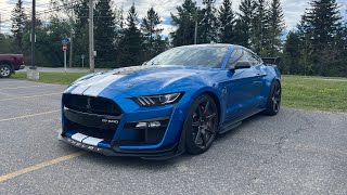 2020 Ford Shelby GT500 Exterior Interior amp Full Review [upl. by Hamil912]