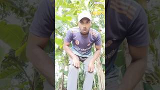 funny Video 🤣🤣 funny comedy shorts mastiunlimited funnyshorts [upl. by Ynnej]