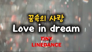 꿈속의사랑 Love in dream 트롯라인댄스 타이니라인댄스 강사황윤주 진건읍주민자치센터 입문반 남양주라인댄스 [upl. by Adnalor]