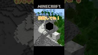 方解石はここにも！枠にピッタリ止められるかなチャレンジ！part131【Minecraft】 shorts マイクラ minecraft マインクラフト [upl. by Olive]