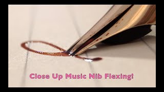 Music Nib Fountain Pen Satisfying Inky Fun [upl. by Polinski36]