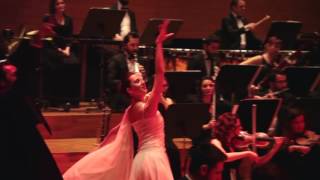 Johann Strauss The Blue Danube  Mavi Tuna OLTEN FILARMONI [upl. by Larimor21]