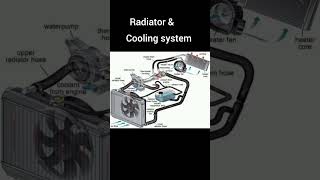 cooling system and radiator working vehicle engine machine coolingsystems radiator shorts yt [upl. by Ginder]