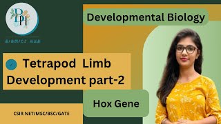 Hox GeneTETRAPOD LIMB DEVELOPMENTCSIRNETBIOMICS HUB [upl. by Nyleaj601]