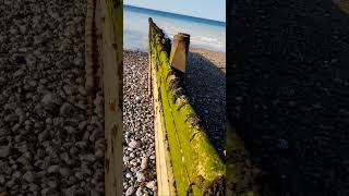 quotlongshore driftquot barrier example near Cromer pier Norfolk UK wild nature countryside outdoors [upl. by Doralin]