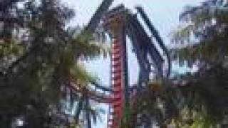 Busch Gardens Africa Tampa Bay Music Video [upl. by Ahsiele]