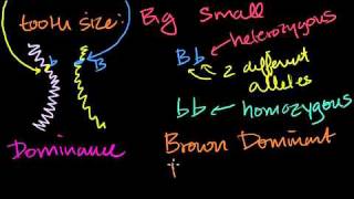 Introduction to Heredity in Bangla [upl. by Ellehcsor]