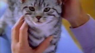 New Zealand TV Whiskas Advertisement [upl. by Aitsirk]