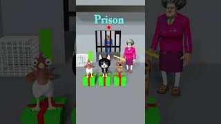 Chicken Cat cute Vs poor Dog Which animal can rescue Superman Dog from prison cat dog [upl. by Inot]