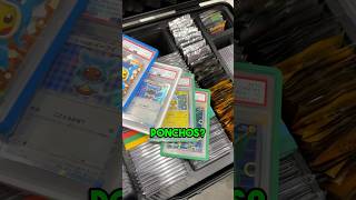 What Pokemon Cards are INSIDE your Case [upl. by Audwin]