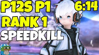 P12 P1  614 Rank 1 SpeedkillTA BLM PoV 157776 rDPS  170538 aDPS [upl. by Shanon]