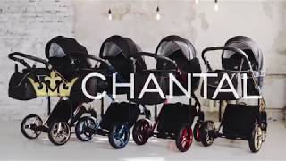 ADAMEX CHANTAL Special Edition [upl. by Ag]