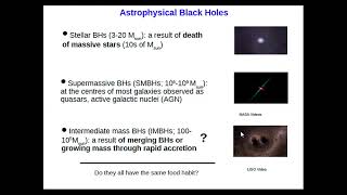 Observational Aspects of Accreting Black Holes [upl. by Brenton]