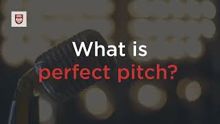 What is Perfect Pitch UChicago Explainer Series [upl. by Jerusalem]