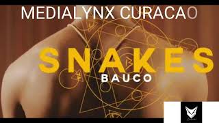 Bauco  Snakes  Prod Tuneparagon    Edited [upl. by Nelehyram]