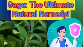 Discover How Sage Can Transform Your Health [upl. by Ayik]