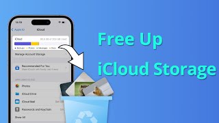 5 Ways How to Free Up iCloud Storage 2024 [upl. by Sirovaj]