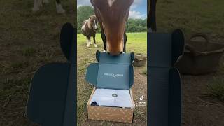 Opening our“Forelock and Fringe” June subscription box Use code SILLYPRUNE10 For discount horse [upl. by Weinhardt]