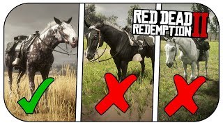 How to get the MISSOURI FOX TROTTER FASTEST Horse In RED DEAD REDEMPTION 2 [upl. by Healy487]