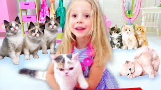 Nastya and her kitties Compilation of videos for kids [upl. by Fiester]