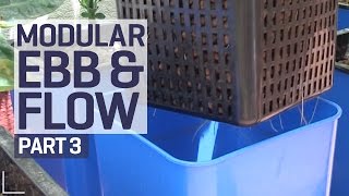 How to set up an Ebb amp Flow  Flood amp Drain Hydroponics Growing System  Pest Control  PART 3 of 6 [upl. by Eenej]