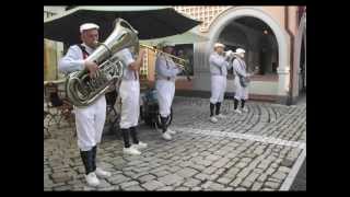 Gopher Mambo Dixie Bubbles Jazz Band EuropaPark 2013 [upl. by Calia501]