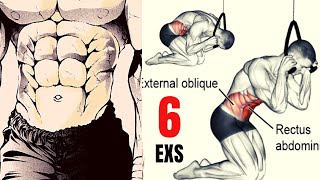 LES Meilleurs Exercices Pour Les Muscles Abdominaux avec poids [upl. by Hekking628]