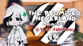 The Promised Neverland react to YN as Arlecchino  GachaClub  Read Description [upl. by Oecile]