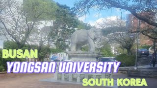 South Korea Yongsan University 1st VlogWise U  YSU [upl. by Nanaj]