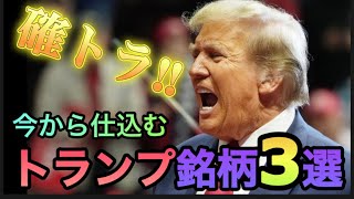 確トラか⁉︎トランプ銘柄3選！ [upl. by Berk]