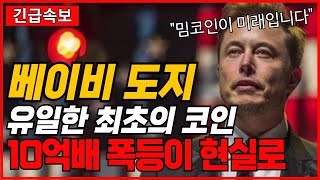 베이비 도지 코인 유일한 최초의 코인 10억배 폭등이 현실로 [upl. by Buckden]