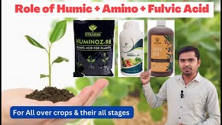 The Importance of Humic Acid Amino Acid and Fulvic Acid in Crop Growth and Yield  aasankheti [upl. by Arvad]