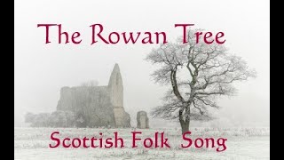 THE ROWAN TREE  Scottish Folk song [upl. by Eadahc]