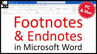 How to Insert Footnotes and Endnotes in Microsoft Word PC amp Mac [upl. by Assirrec]